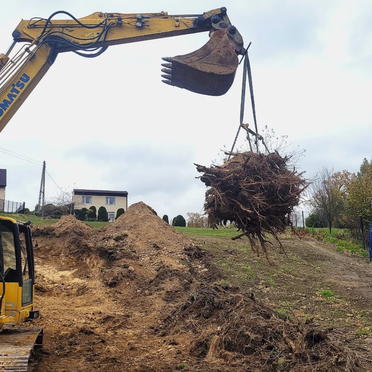 e9e9d54c b2e1 4745 bba6 e93a8db66cba w